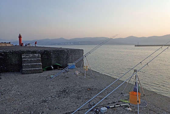 釣れそうな雰囲気ですが