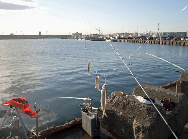 �g���v���Œނ�܂���