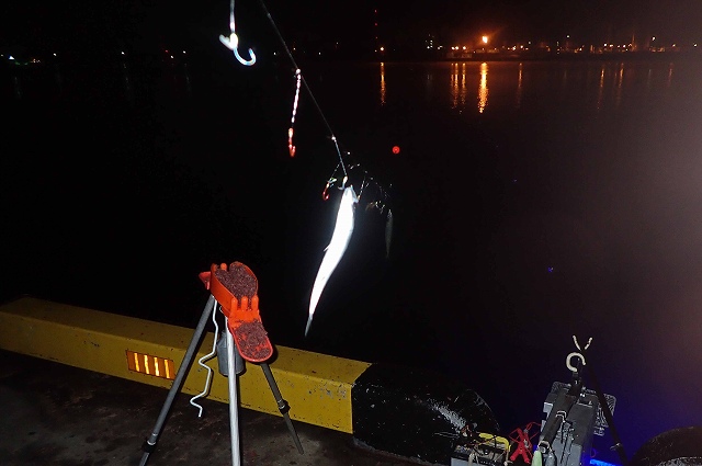 �T�o���ŏ��Ƃ͂������K���̂��邳���Ƃ���