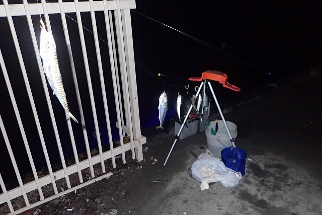 �R�T�o�����邳��