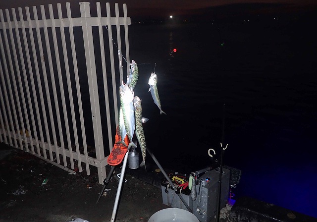 �R�T�o�]���]��