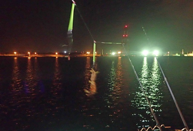 シャコも釣れているようですよ